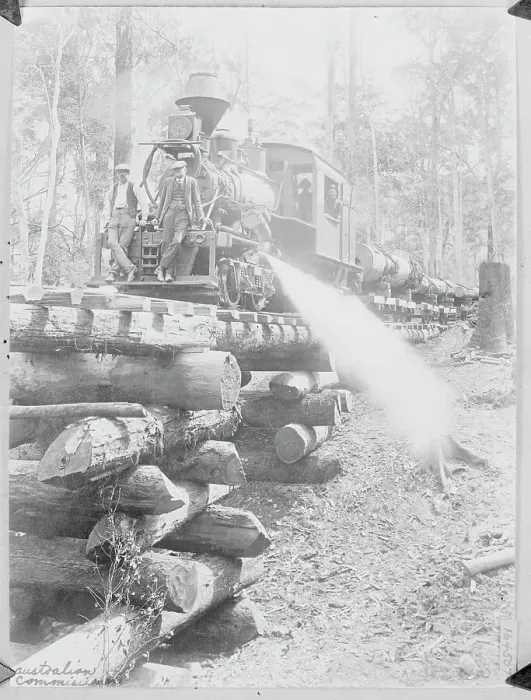 Framed Print : Logging Train in Australian Forest Framed Print : Logging Train in Australian Forest