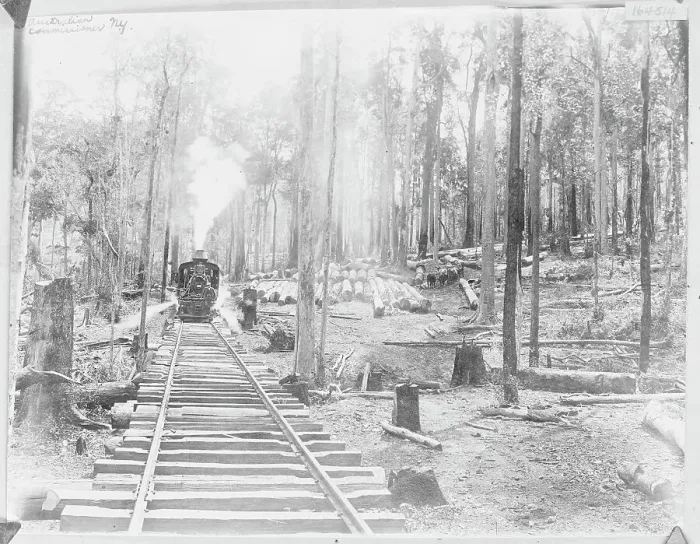 Framed Print : Logging Train in Forest Framed Print : Logging Train in Forest