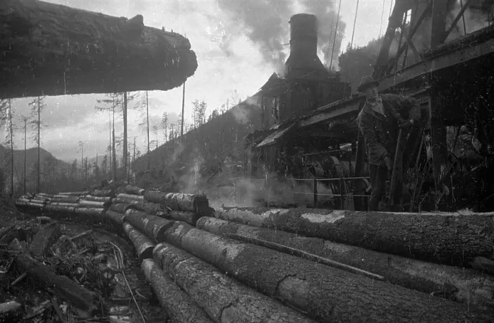 Framed Print : Logs By Train