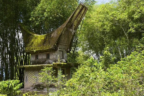 Lokomata burial site in the shape of a traditional Toraja house, near Ratepao, Sulawesi, Indonesia, Southeast Asia