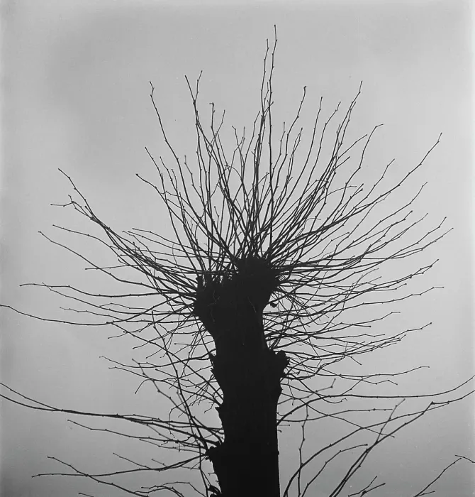 Framed Print : London Fog