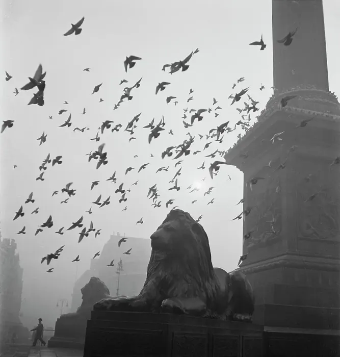 Framed Print : London Fog Framed Print : London Fog