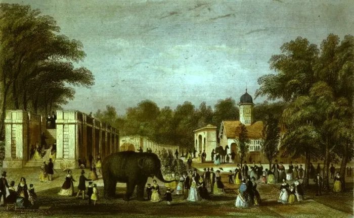 Framed Print : London Zoo Framed Print : London Zoo