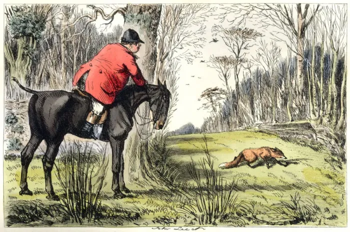 Framed Print : Lone hunstman stalking a fox Framed Print : Lone hunstman stalking a fox