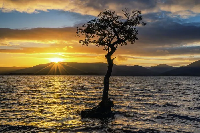 Framed Print : Lone or Lonely Tree, Loch Lomond, Scotland Framed Print : Lone or Lonely Tree, Loch Lomond, Scotland