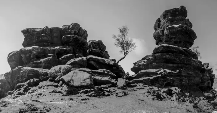 Framed Print : Lone tree, Brimham Rocks Framed Print : Lone tree, Brimham Rocks