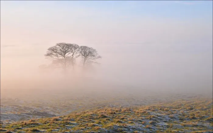 Framed Print : Lone tree in mist morning Framed Print : Lone tree in mist morning