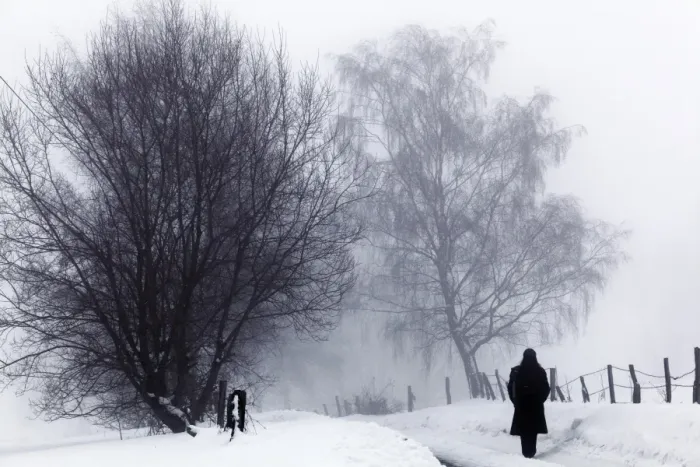 Framed Print : Lone walker, winter landscape with snow, tree in the fog, Gummersbach, North Rhine-Westphalia, Germany, Europe Framed Print : Lone walker, winter landscape with snow, tree in the fog, Gummersbach, North Rhine-Westphalia, Germany, Europe