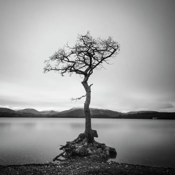 Framed Print : Loneliness Framed Print : Loneliness