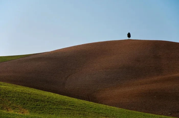 Framed Print : Lonely Cypress on the top of a hill, Val d Orcia Tuscany Framed Print : Lonely Cypress on the top of a hill, Val d Orcia Tuscany