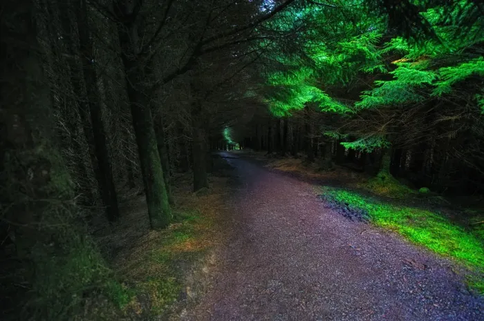Framed Print : Lonesome Road Leading Through Dark and Eerie Forest on the Isle of Skye, Scotland Framed Print : Lonesome Road Leading Through Dark and Eerie Forest on the Isle of Skye, Scotland