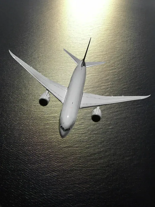 Framed Print : Look-down view of a Boeing 787-8 Dreamliner over the ocean Framed Print : Look-down view of a Boeing 787-8 Dreamliner over the ocean