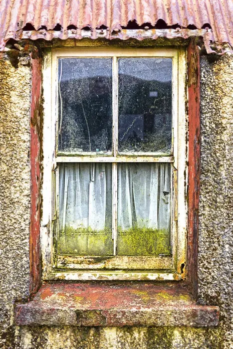Framed Print : Looking Through Framed Print : Looking Through