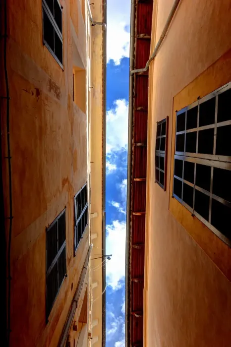 Framed Print : Looking up Framed Print : Looking up
