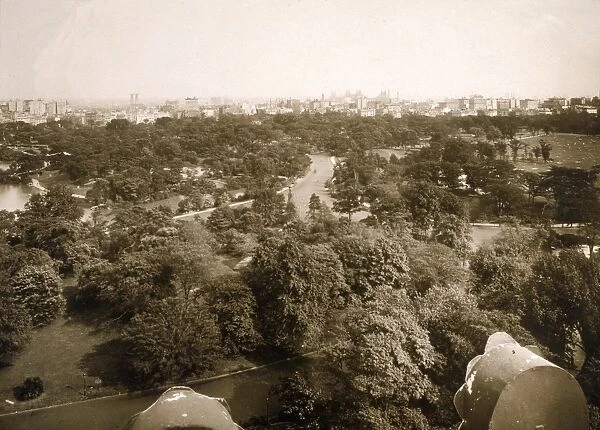 Looking North Over Prospect Park