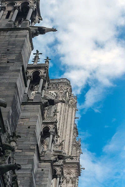 Looking up at the side of Notre Dame Cathedral