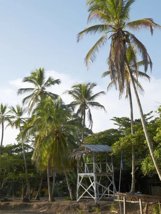 Framed Print : Lookout tower, Playa Cocles, Puerto Viejo de Talamanca, Costa Rica, Central America