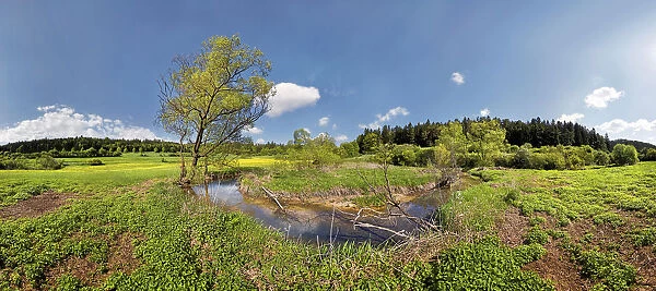 Loop of the Morsbach stream, untouched nature, Ritter- und Romerweg, trail of the Knights and the Romans near Emsing, Titting, Altmuhltal Nature Park, Bavaria, Germany