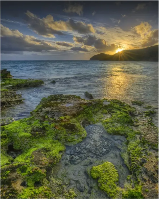Framed Print : Lord Howe Island, majestic and scenically wonderful, is part of New South Wales, Australia Framed Print : Lord Howe Island, majestic and scenically wonderful, is part of New South Wales, Australia