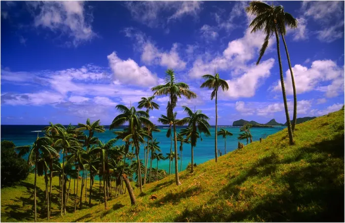 Framed Print : Lord Howe Island, majestic and scenically wonderful, is part of New South Wales, Australia Framed Print : Lord Howe Island, majestic and scenically wonderful, is part of New South Wales, Australia