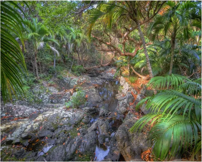 Framed Print : Lord Howe Island, majestic and scenically wonderful, is part of New South Wales, Australia Framed Print : Lord Howe Island, majestic and scenically wonderful, is part of New South Wales, Australia