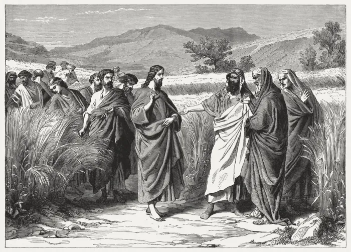 Framed Print : Lord of the Sabbath (Matthew 12, 8), published in 1886 Framed Print : Lord of the Sabbath (Matthew 12, 8), published in 1886