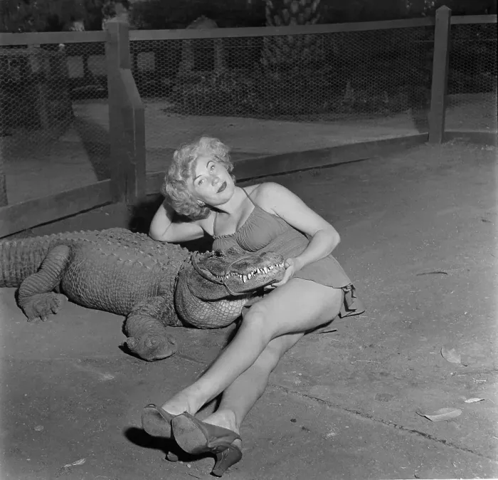 Framed Print : Los Angeles Alligator Farm Framed Print : Los Angeles Alligator Farm