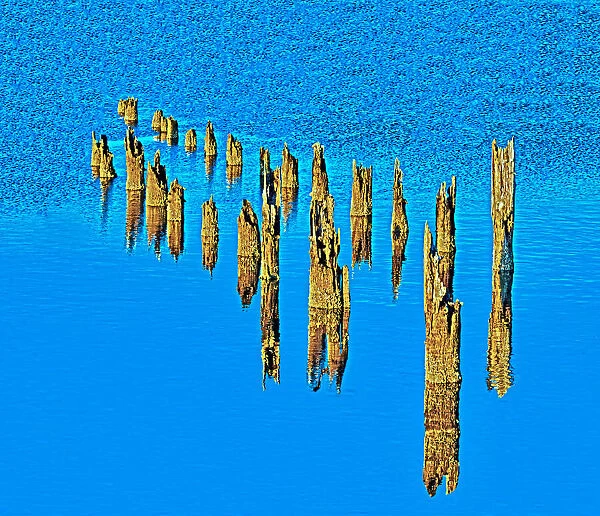 Lost Pier. A color photograph of the remains to an abandoned pier at The