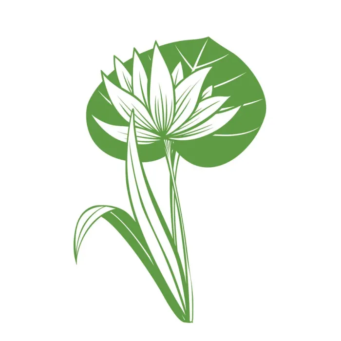 Framed Print : Lotus-flower-4 Framed Print : Lotus-flower-4