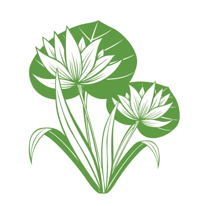 Framed Print : Lotus Flower Illustration Framed Print : Lotus Flower Illustration