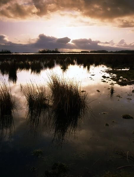 Lough Beg, County Antrim, Ireland, Near Toomebridge