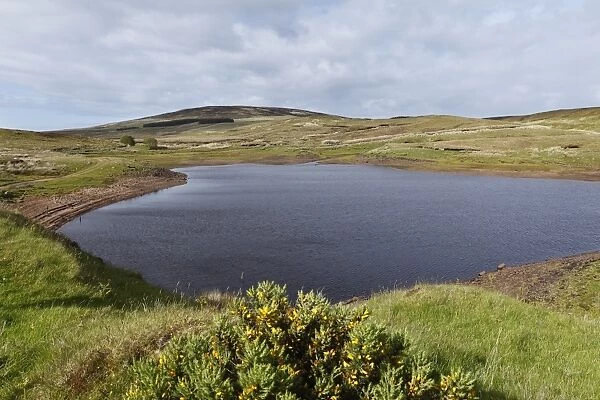 Loughareema vanishing lake near Cushendun, County Antrim, Northern Ireland, United Kingdom, Europe