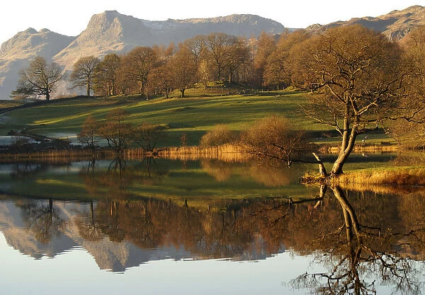 Loughrigg Tarn. A small lake surrounded by woodland and mountains, English Lake District