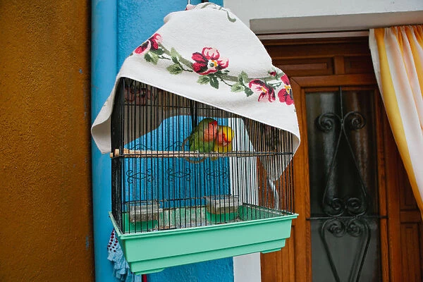 Two love birds in a cage, on the Island of Burano, Italy