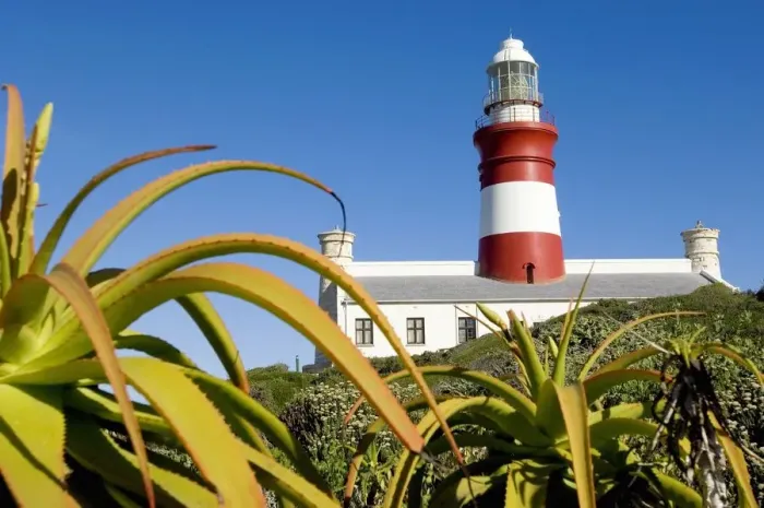 Framed Print : A Low Angle of a Light House with Aloes in the Foreground Framed Print : A Low Angle of a Light House with Aloes in the Foreground