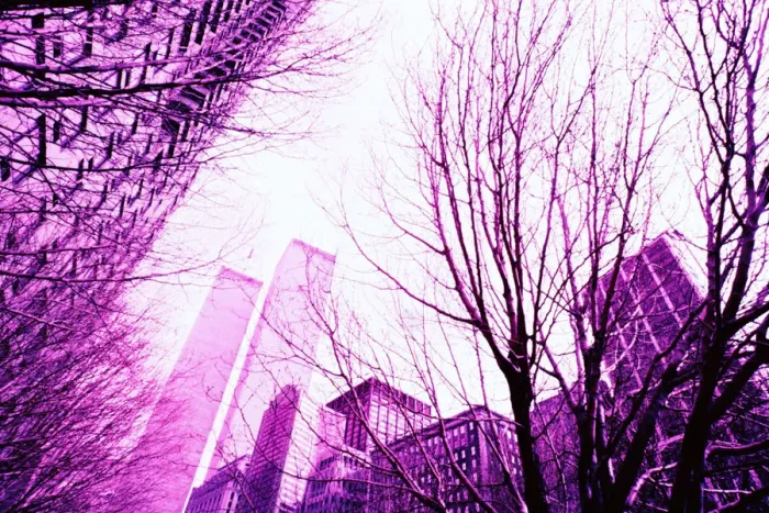 Framed Print : Low Angle View, New York, New York City, Nobody, Outdoors, Pink, Skyscraper Framed Print : Low Angle View, New York, New York City, Nobody, Outdoors, Pink, Skyscraper