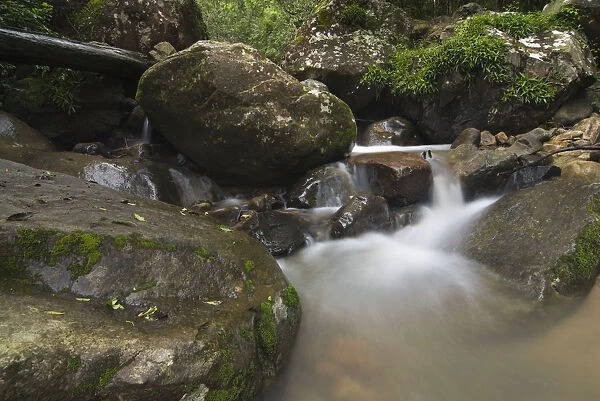 Low angle view of a waterfall with blurred water, Injisuthi National Park