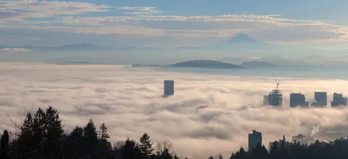 Framed Print : Low Fog Bank Over Portland Oregon Cityscape Framed Print : Low Fog Bank Over Portland Oregon Cityscape