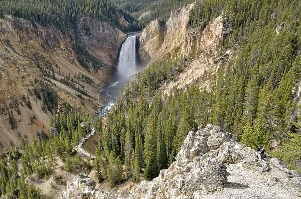 Lower Falls with the Red Rock Trail, Grand Canyon of the Yellowstone River, view from North Rim, Yellowstone National Park, Wyoming, USA
