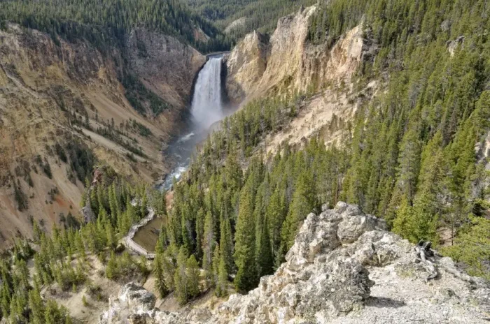 Framed Print : Lower Falls with the Red Rock Trail, Grand Canyon of the Yellowstone River, view from North Rim, Yellowstone National Park, Wyoming, USA Framed Print : Lower Falls with the Red Rock Trail, Grand Canyon of the Yellowstone River, view from North Rim, Yellowstone National Park, Wyoming, USA