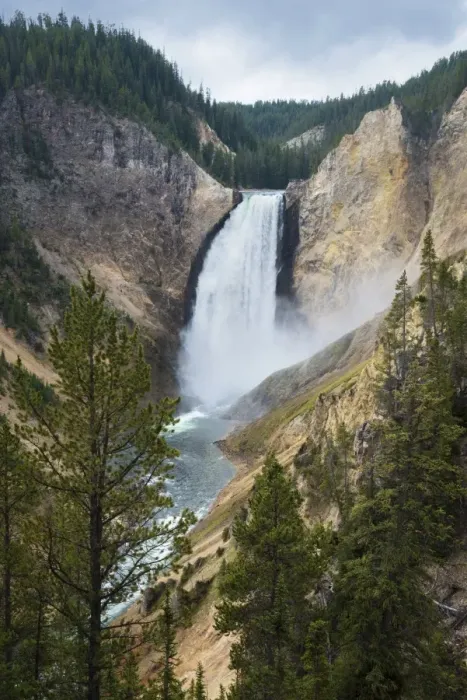 Framed Print : Lower Yellowstone Waterfall Framed Print : Lower Yellowstone Waterfall