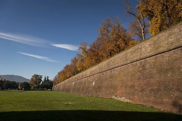 Luccas City wall during a sunny day in Autumn