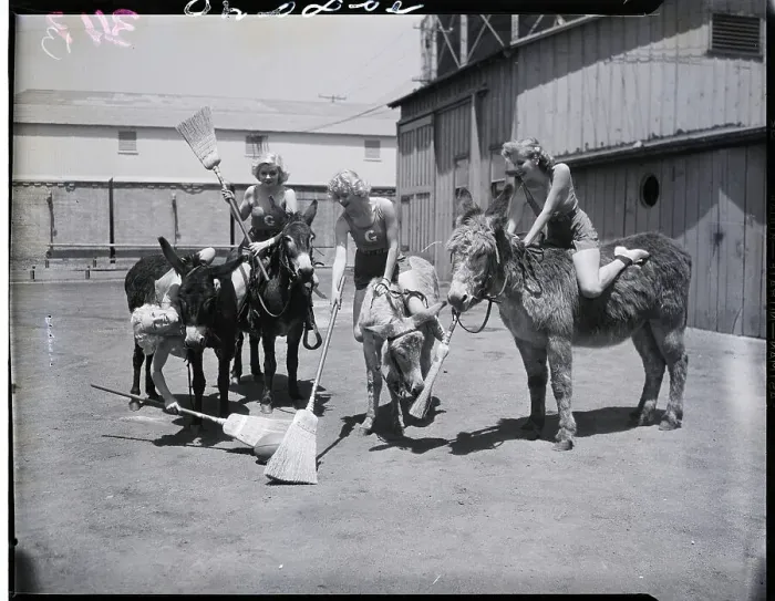 Framed Print : Lucille Ball and Actresses on Mules Playing Game Framed Print : Lucille Ball and Actresses on Mules Playing Game