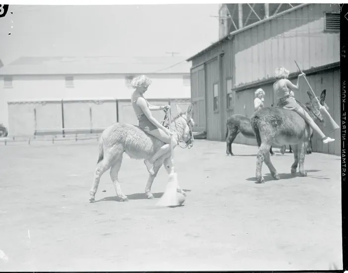 Framed Print : Lucille Ball and Others Riding Donkeys Framed Print : Lucille Ball and Others Riding Donkeys