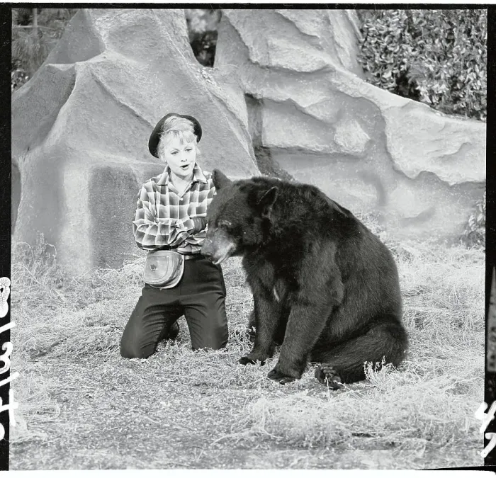 Framed Print : Lucille Ball Sitting with a Bear Framed Print : Lucille Ball Sitting with a Bear