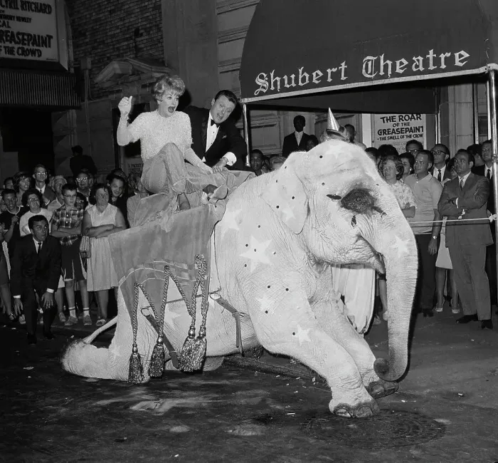 Framed Print : Lucille Ball Sitting on an Elephant Framed Print : Lucille Ball Sitting on an Elephant
