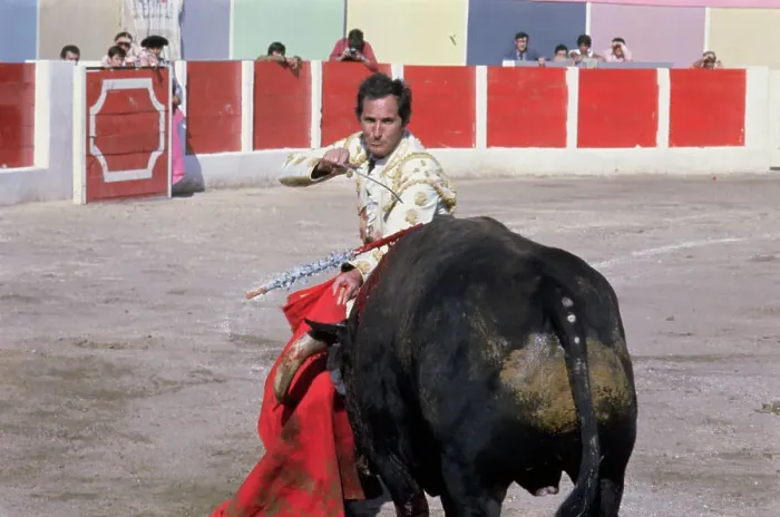 Framed Print : Luis Miguel Dominguin Fighting Bull Framed Print : Luis Miguel Dominguin Fighting Bull