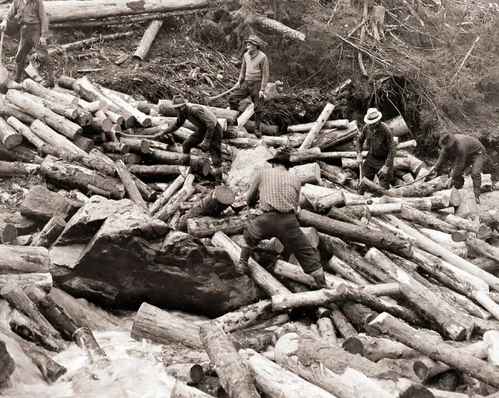 Framed Print : Lumberjacks Clean Up Log Jam on Stream Framed Print : Lumberjacks Clean Up Log Jam on Stream