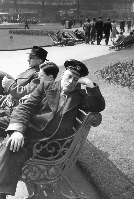 Framed Print : Lunchbreak Nap