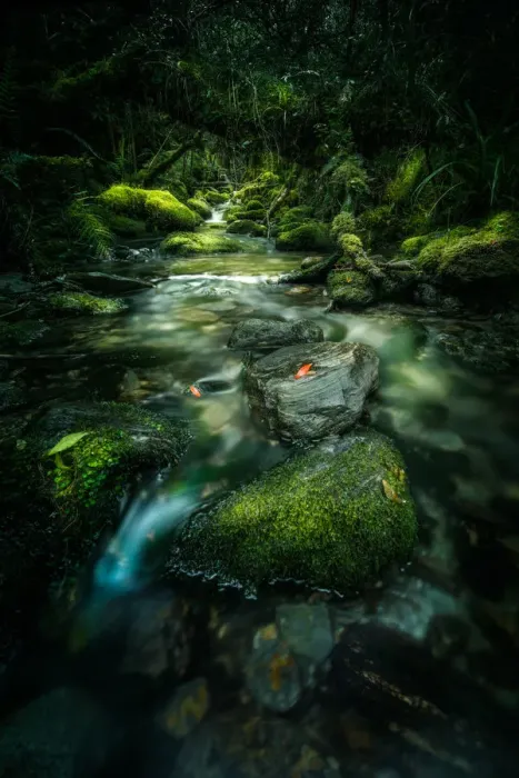 Framed Print : Lush and green cascade scenery Framed Print : Lush and green cascade scenery